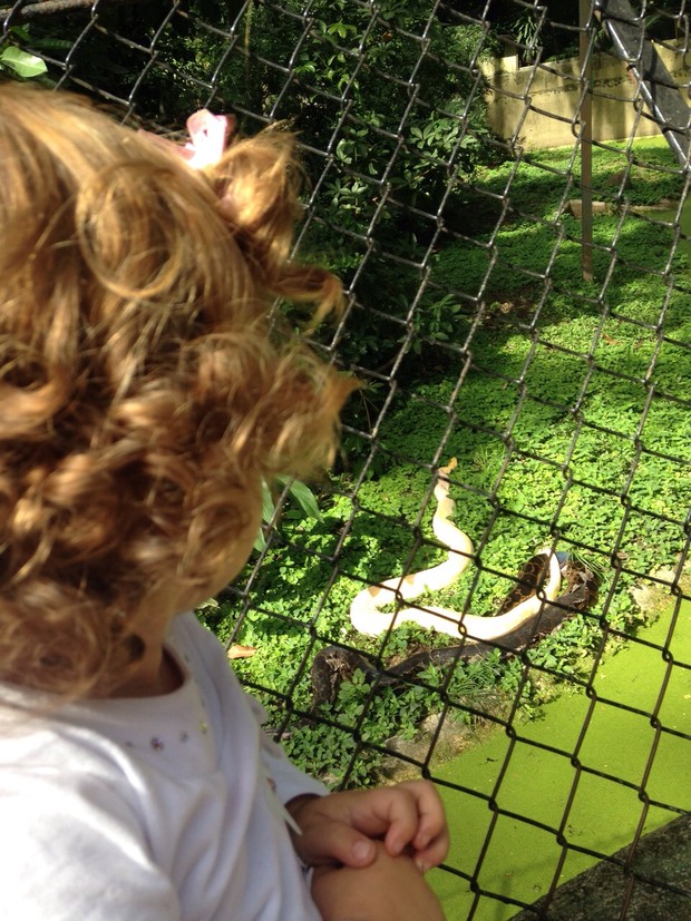 Maria Eduarda em visita ao zoológico pela primeira vez (Foto: Arquivo pessoal)