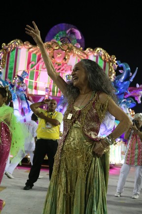 Maria Bethânia em desfile da Mangueira na Marquês de Sapucaí, no Centro do Rio (Foto: Andre Freitas/ Ag. News)