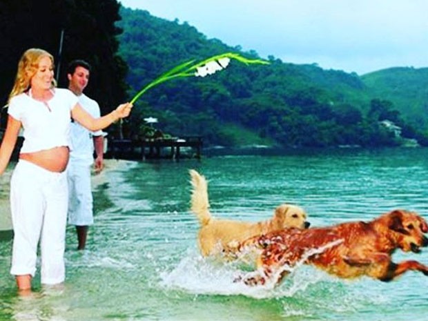 Angélica e Luciano Huck com os cachorros Lucki e Lola (Foto: Instagram/ Reprodução)