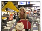 Karina Bacchi viaja com cãozinho: 'Prontos para embarcar'