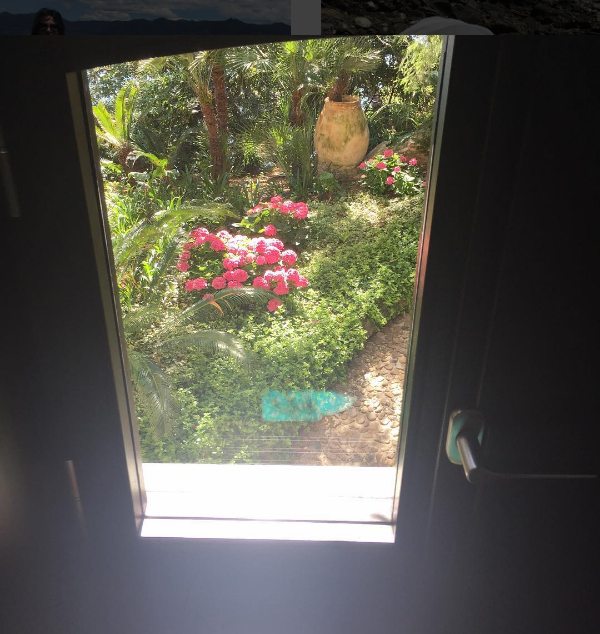 Luciana Gimenez compartilhou foto da janela com vista para um jardim (Foto: Reprodução / Instagram)
