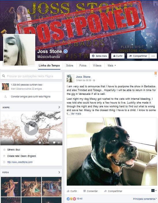 Joss Stone cancela turnê para ficar cuidar de seu cachorro Missy, que está doente (Foto: Reprodução )