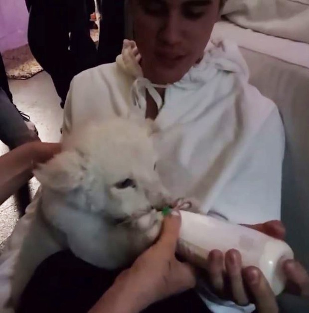 Justin Bieber alimenta filhote de leão  (Foto: Instagram / Reprodução)