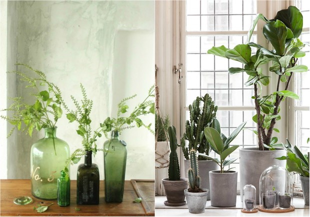 Verde Greenery, tom da Pantone para 2017, invade a decoração (Foto: Reprodução / Tisane Infusion / Pinterest | Reprodução / My Unfinished Home / Pinterest)