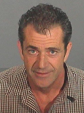Mug Shot - Mel Gibson (Foto: Reprodução)