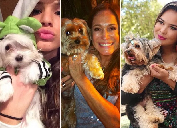 Famosos e seus cachorros (Foto: Instagram / Reprodução)