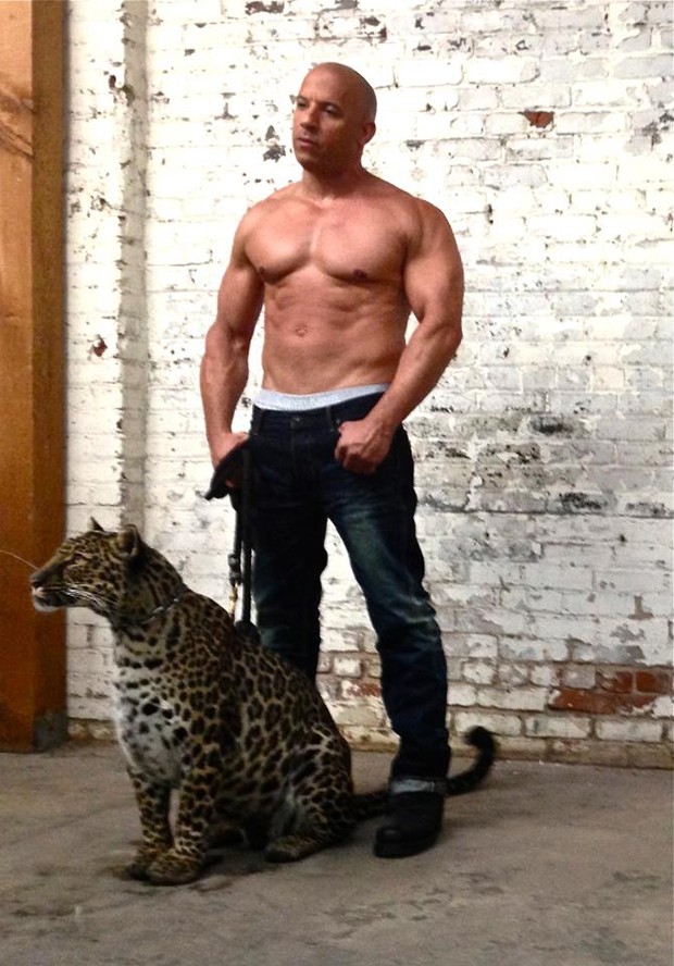 Vin Diesel posta foto de bastidores de ensaio com um leopardo (Foto: Facebook / Reprodução)