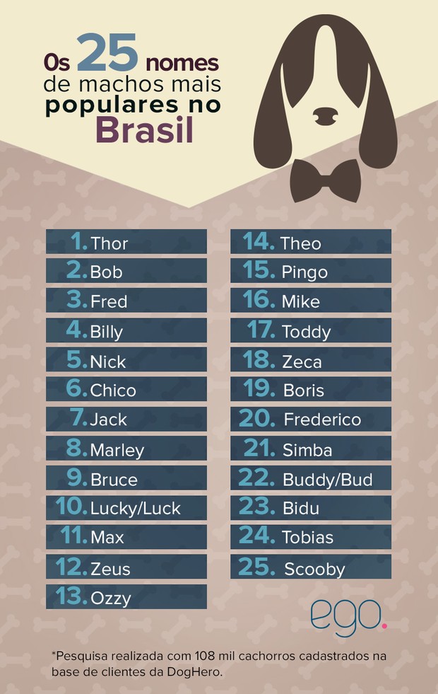 13 nomes de cachorro populares entre os brasileiros