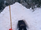 Filho de Luciano Huck entra em iglu 'construído' pelo pai durante as férias