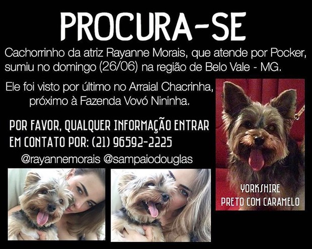 Rayanne Morais pede ajuda para encontrar cachorrinho (Foto: Reprodução / Instagram)