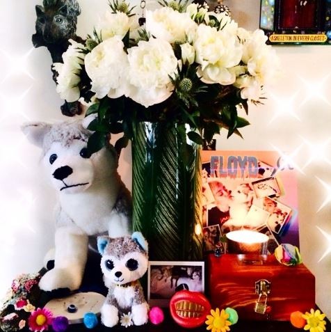 Miley Cyrus tem um altar em homenagem a seu cachorro (Foto: Reprodução_Instagram)