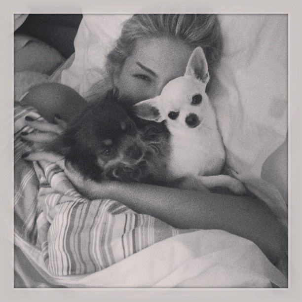 Ana Hickmann posta foto na cama com seus cachorros (Foto: Instagram)