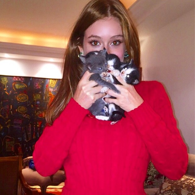 Marina Ruy Barbosa posa com gatinhos (Foto: Instagram/ Reprodução)