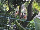 Daniele Suzuki é clicada sendo abraçada em piscina do hotel no Rio