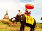 Dani Winits anda de elefante durante férias românticas na Tailândia