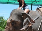 Gyselle Soares anda de elefante e visita pontos turísticos na Tailândia